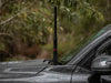 Bonnet Hinge Aerial Mount to suit Toyota LandCruiser LC300 - AMD Touring