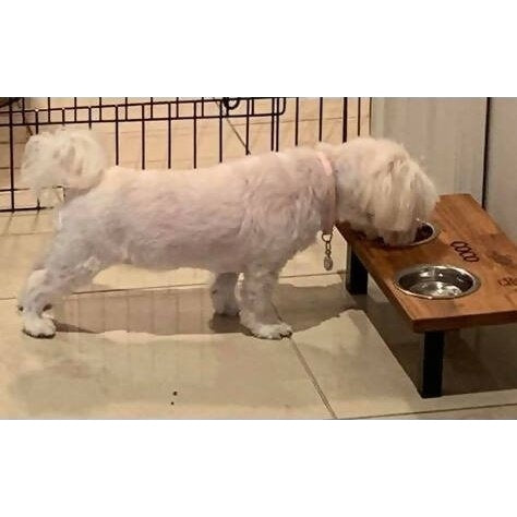 Elevated Dog Feeding Station Small Flat Pack Free Engraving